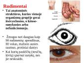 Evoliucijos įrodymai - teorija 9 puslapis