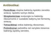 Antibiotikai - teorija 7 puslapis