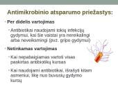 Antibiotikai - teorija 10 puslapis