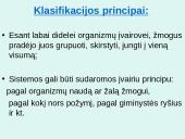 Organizmų sistematikos principai. Taksonominės grupės  8 puslapis
