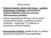 Inkstų dializė. Inkstų donorystė  3 puslapis