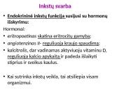 Inkstų dializė. Inkstų donorystė  4 puslapis