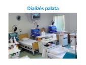 Inkstų dializė. Inkstų donorystė  7 puslapis