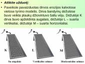 Dirvos erozija ir jos mažinimo būdai 18 puslapis