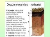 Dirvos erozija ir jos mažinimo būdai 3 puslapis