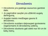 Dirvos erozija ir jos mažinimo būdai 4 puslapis