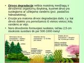 Dirvos erozija ir jos mažinimo būdai 7 puslapis