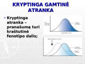 Gamtinė atranka ir jos rūšys 11 puslapis