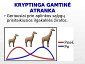 Gamtinė atranka ir jos rūšys 12 puslapis