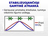 Gamtinė atranka ir jos rūšys 15 puslapis
