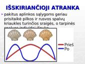 Gamtinė atranka ir jos rūšys 17 puslapis
