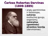 Gamtinė atranka ir jos rūšys 3 puslapis