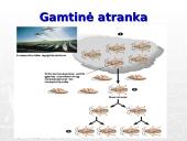Gamtinė atranka ir jos rūšys 5 puslapis