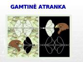 Gamtinė atranka ir jos rūšys 6 puslapis