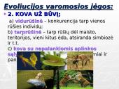 Gamtinė atranka ir jos rūšys 7 puslapis