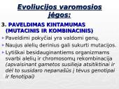 Gamtinė atranka ir jos rūšys 8 puslapis