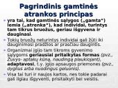 Gamtinė atranka ir jos rūšys 9 puslapis