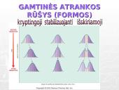 Gamtinė atranka ir jos rūšys 10 puslapis