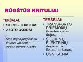 Globalinės aplinkos apsaugos problemos: klimato kaita, rūgštūs krituliai 14 puslapis
