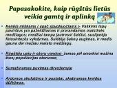 Globalinės aplinkos apsaugos problemos: klimato kaita, rūgštūs krituliai 16 puslapis