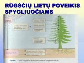 Globalinės aplinkos apsaugos problemos: klimato kaita, rūgštūs krituliai 17 puslapis