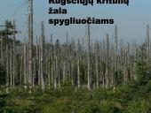 Globalinės aplinkos apsaugos problemos: klimato kaita, rūgštūs krituliai 18 puslapis