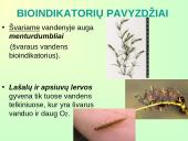 Lietuvos biologinės įvairovės išsaugojimas  13 puslapis