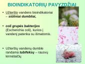 Lietuvos biologinės įvairovės išsaugojimas  14 puslapis