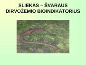 Lietuvos biologinės įvairovės išsaugojimas  16 puslapis