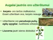 Lietuvos biologinės įvairovės išsaugojimas  17 puslapis