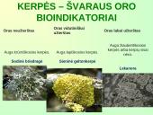 Lietuvos biologinės įvairovės išsaugojimas  18 puslapis