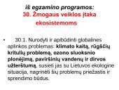 Globalinės aplinkos apsaugos problemos  2 puslapis