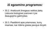 Globalinės aplinkos apsaugos problemos  11 puslapis