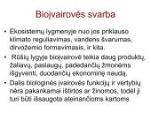Globalinės aplinkos apsaugos problemos  12 puslapis