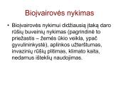 Globalinės aplinkos apsaugos problemos  13 puslapis