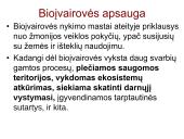 Globalinės aplinkos apsaugos problemos  14 puslapis