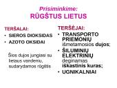 Globalinės aplinkos apsaugos problemos  4 puslapis