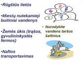 Globalinės aplinkos apsaugos problemos  5 puslapis