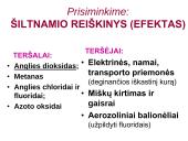 Globalinės aplinkos apsaugos problemos  6 puslapis