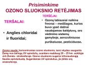 Globalinės aplinkos apsaugos problemos  8 puslapis