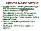 Globalinės aplinkos apsaugos problemos  9 puslapis