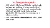 Žmogaus kraujotaka - teorija 2 puslapis