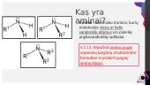 Aminai bei aminorūgštys 2 puslapis