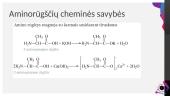 Aminai bei aminorūgštys 14 puslapis