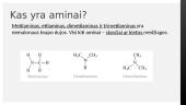 Aminai bei aminorūgštys 3 puslapis