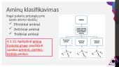 Aminai bei aminorūgštys 4 puslapis