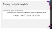 Aminai bei aminorūgštys 8 puslapis