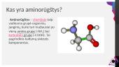 Aminai bei aminorūgštys 9 puslapis
