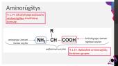 Aminai bei aminorūgštys 10 puslapis