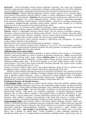 Geologijos kursas 2 puslapis